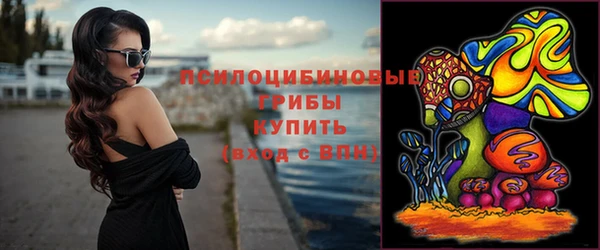 прущий лед Михайловск