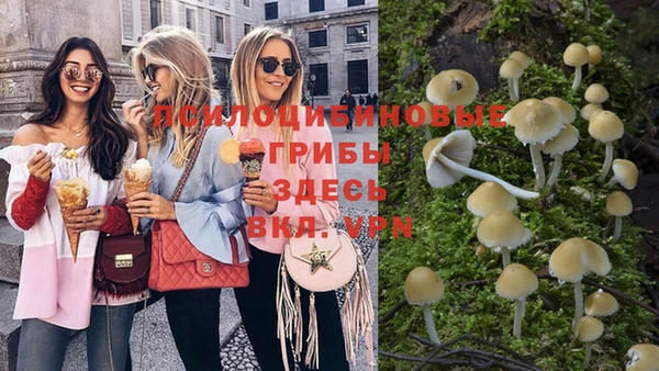 прущий лед Михайловск