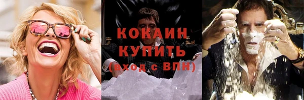 PSILOCYBIN Анжеро-Судженск